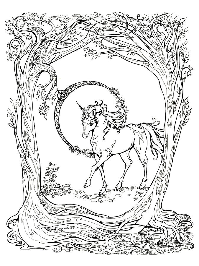 Forest Unicorn Drawing by Katherine Nutt