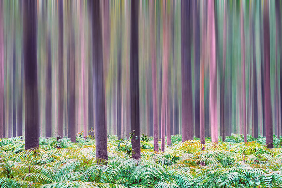 Forest Vibes Digital Art