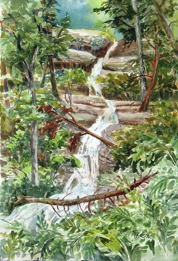 Forest Waterfall Painting by Sheila Parsons