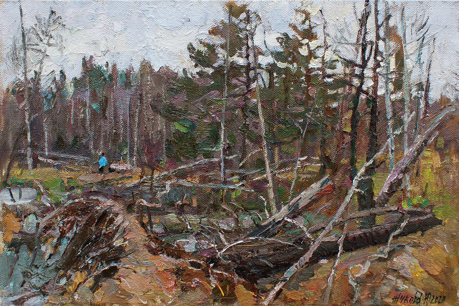 герасимов андрей. киржач в старых фотографиях. киржач 1900. живопись тайга бурелом. истории города n с пьером бурелом киржач.