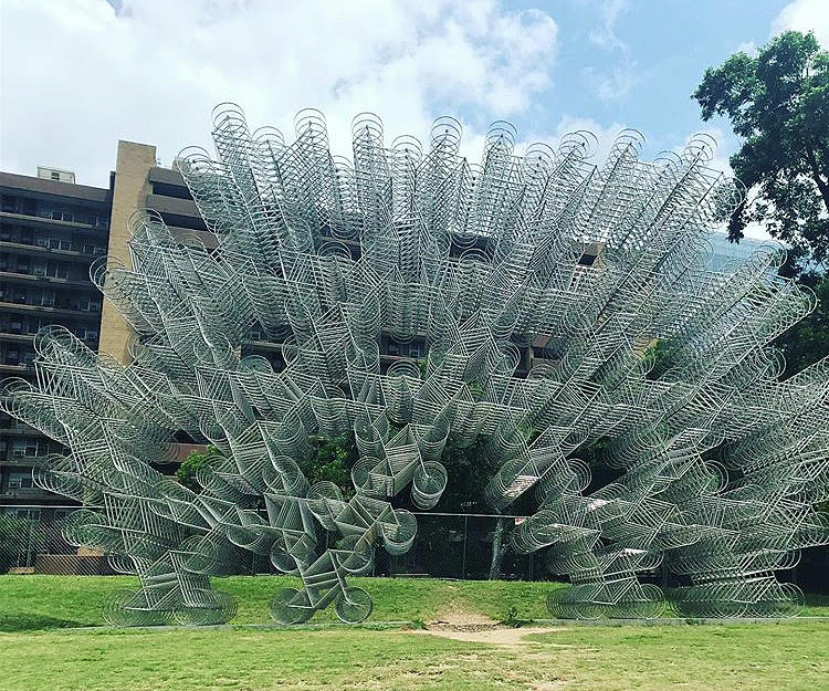 Austin Photograph - Forever bicycles by Alberto Foncerrada