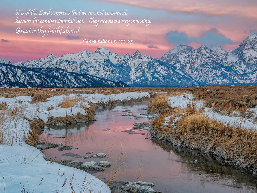 Forever Faithful, Inspiration From The Tetons Photograph by Marcy Wielfaert