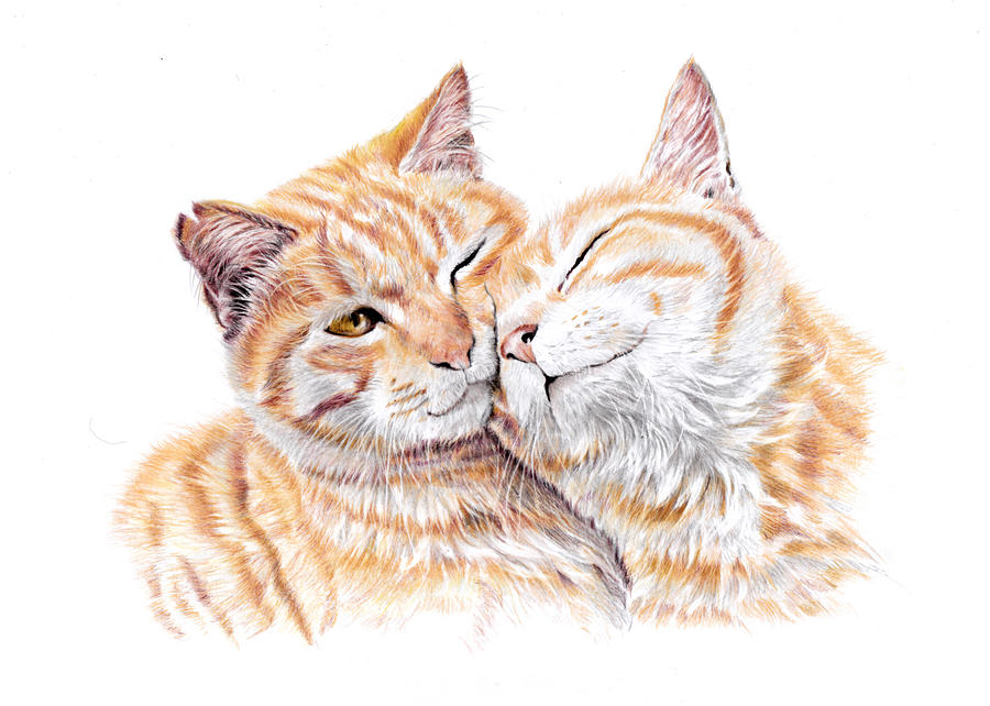 Cat Painting - Forever Love - Cat Couple by Debra Hall