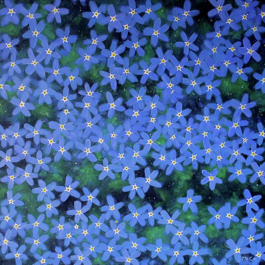 Forget Me Not Flowers Painting by K McCoy