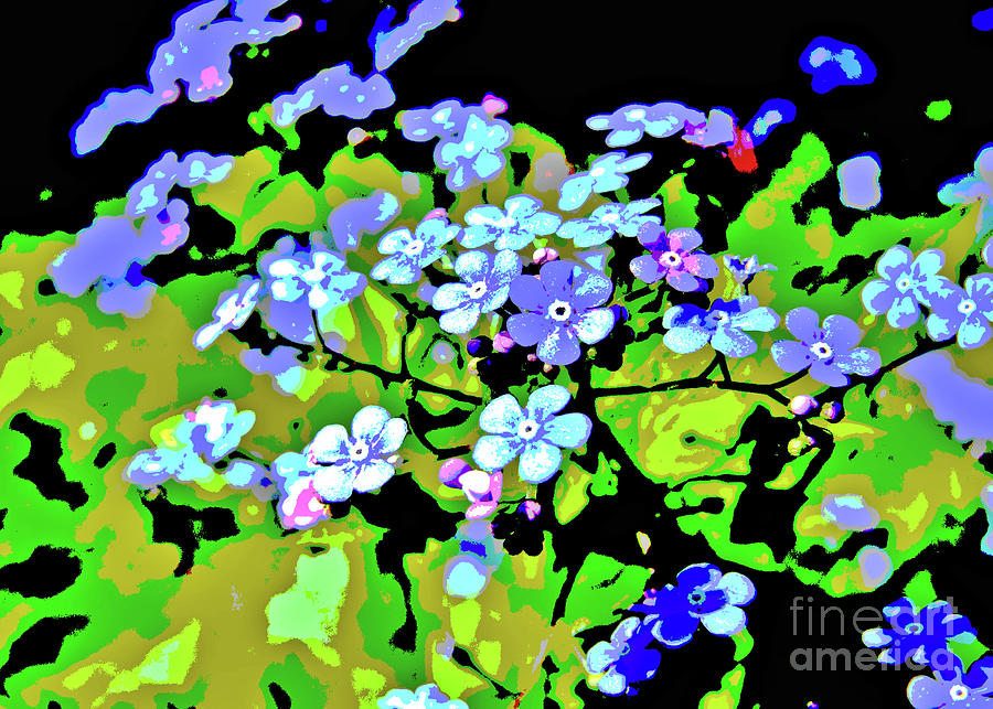 Forget Me Not Digital Art by Mimulux Patricia No