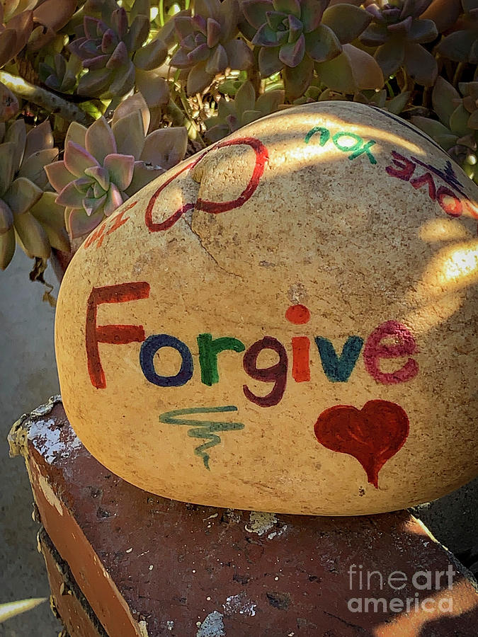 Forgive Painted Garden Rock Photograph by David Zanzinger