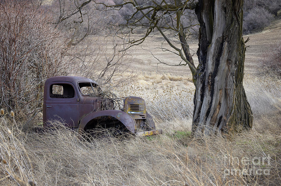 Spring Photograph - Forgotten 1 by Idaho Scenic Images Linda Lantzy