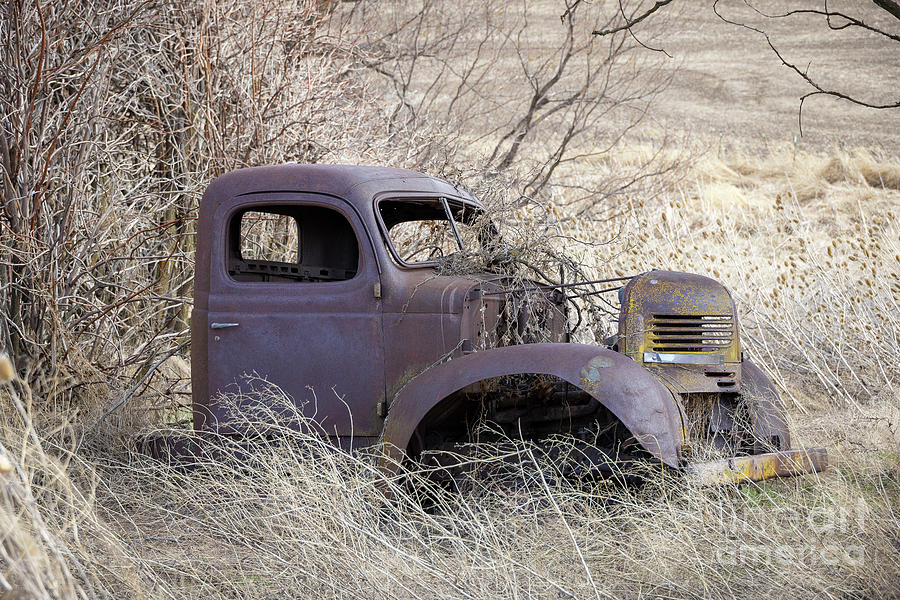Spring Photograph - Forgotten 2 by Idaho Scenic Images Linda Lantzy