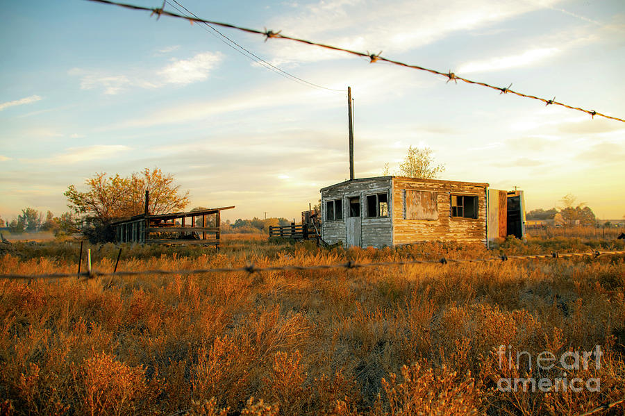 Forgotten Barn #5 Photograph by William Meeuwsen - Fine Art America