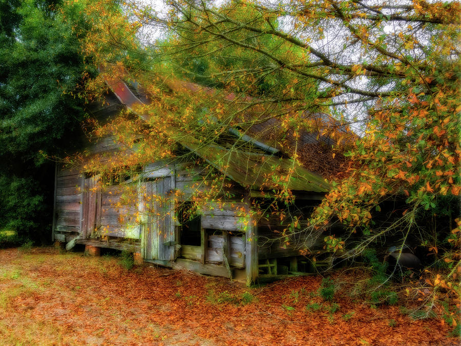 Nature Photograph - Forgotten Barn by Kay Brewer