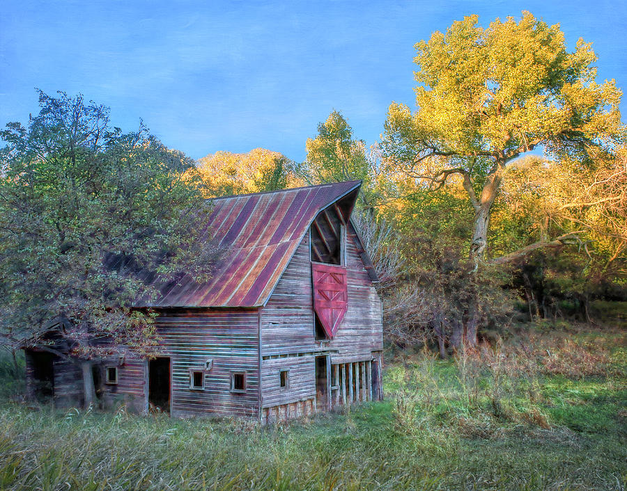 Forgotten Barn Photograph by Nikolyn McDonald