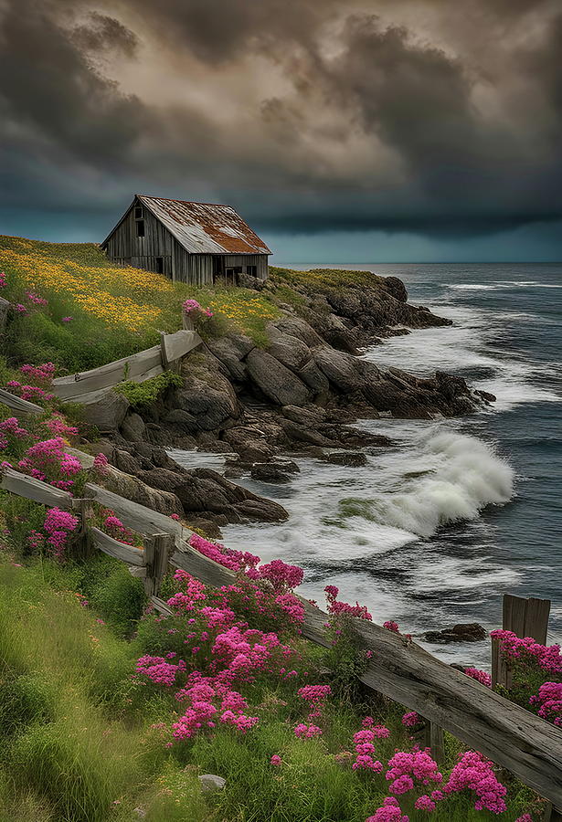 Forgotten Beauty - Coastal Barn Amidst the Wildflowers Digital Art by Russ Harris