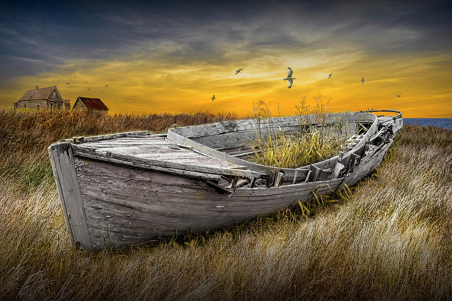 Forgotten Boat in Time Photograph by Randall Nyhof