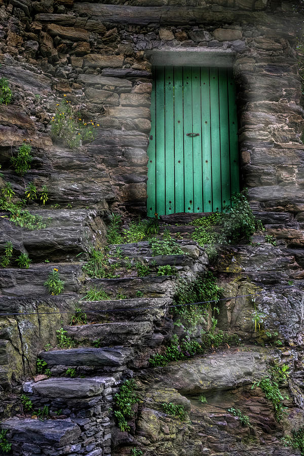 Forgotten Door Photograph by Deborah Jahier