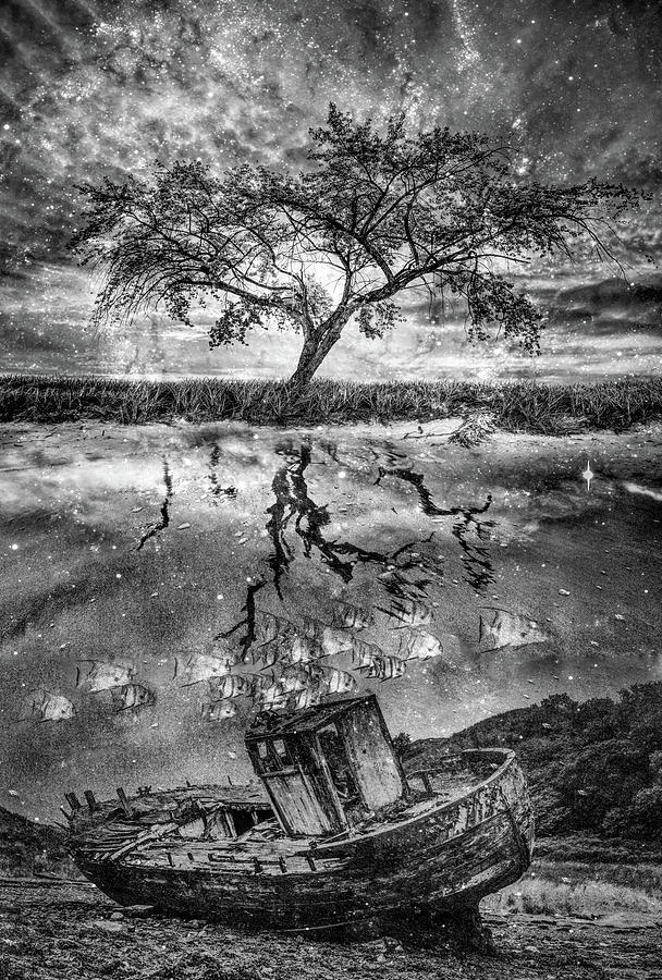 Forgotten Dreams in Black and White Photograph by Debra and Dave Vanderlaan
