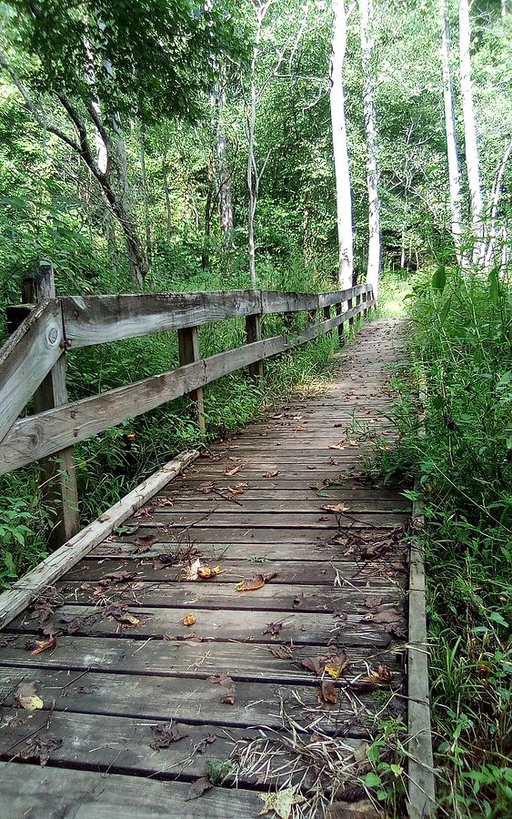 Forgotten footbridge Photograph by Francis Hopps | Pixels