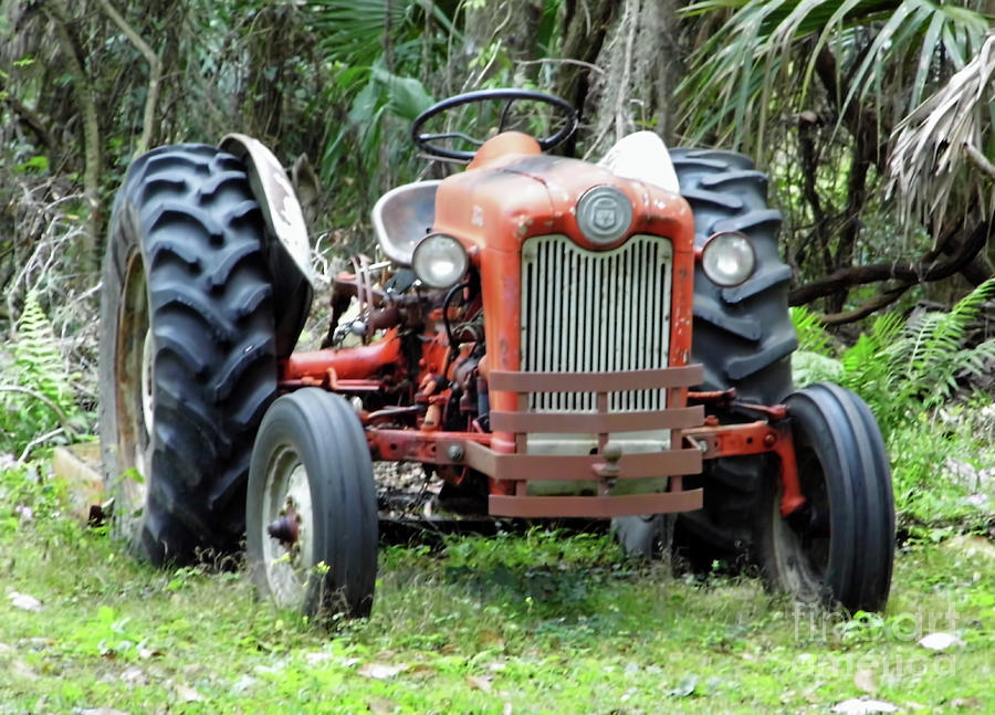Forgotten Ford Tractor Photograph by D Hackett