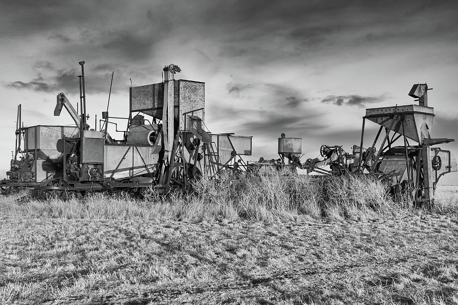 Forgotten Harvesters Photograph by Steve Templeton