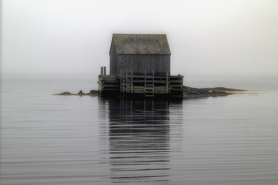 Forgotten in Fog Photograph by Dee Potter