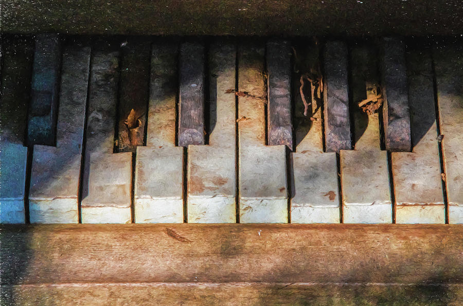 Forgotten Keyboard Photograph by David Letts