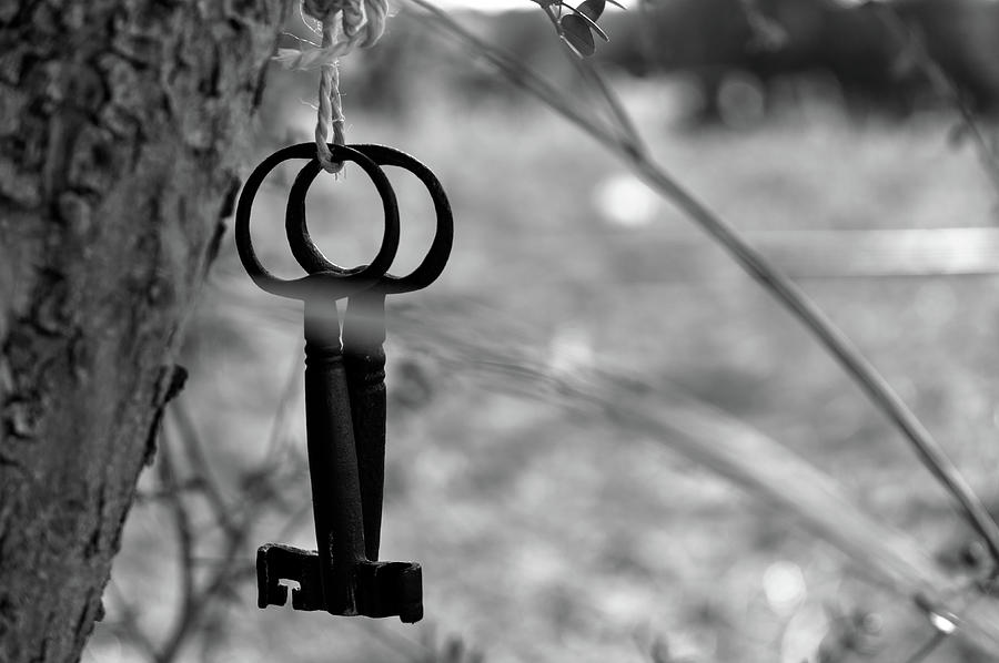 Forgotten Keys 2 Photograph by Angelo DeVal