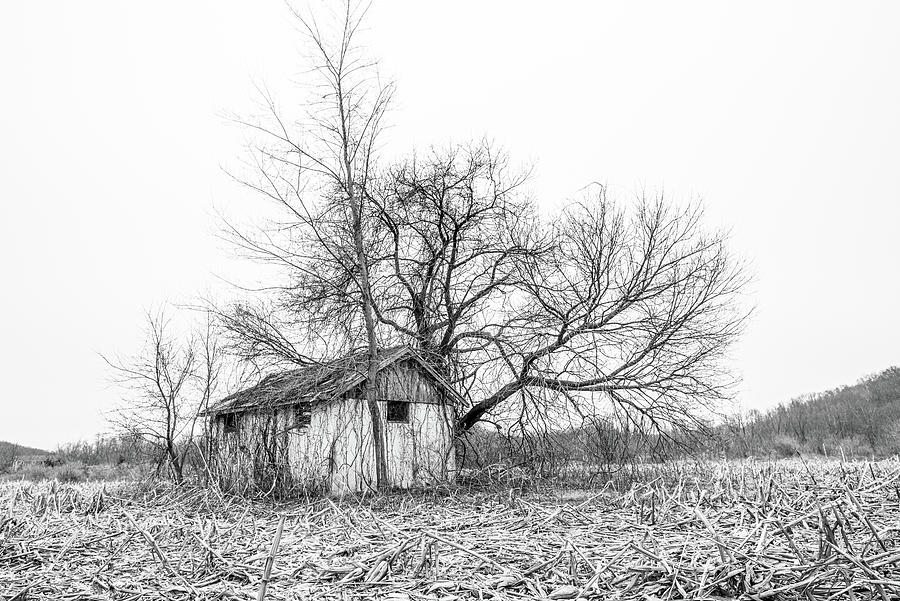 Forgotten Old Shed, Black and White Photograph by Gary Heller