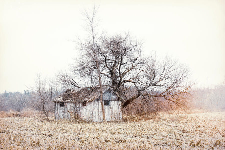 Forgotten Old Shed, Color Photograph by Gary Heller
