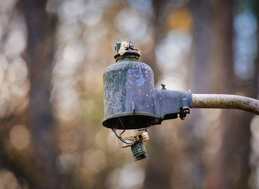 Forgotten Photograph by Scott Burd - Fine Art America