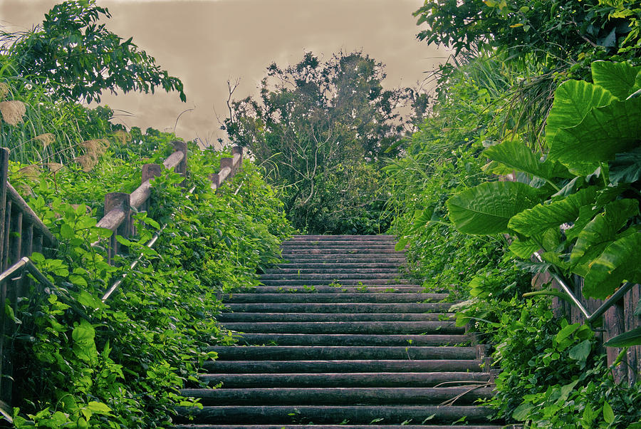 Forgotten stairway Photograph by Eric Hafner