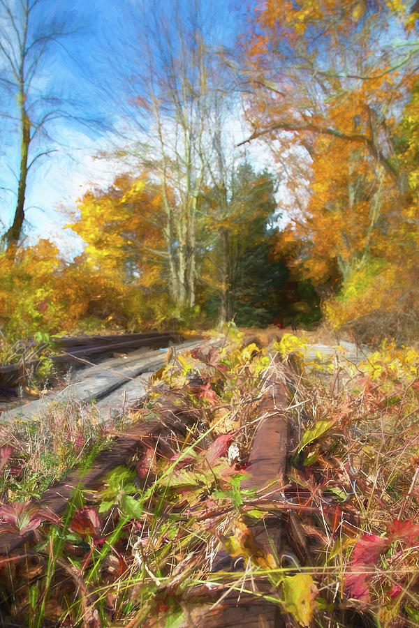 Forgotten Tracks in Townsend Massachusetts Photograph by Jeff Folger