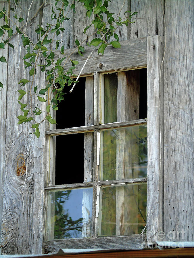 Forgotten Window Photograph by D Hackett