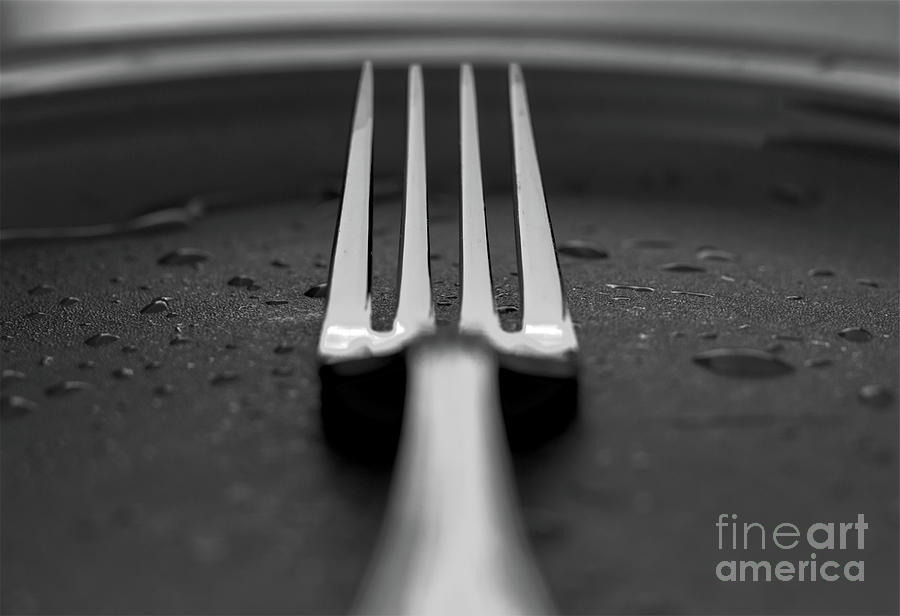 Fork 2 Photograph by Douglas Stucky