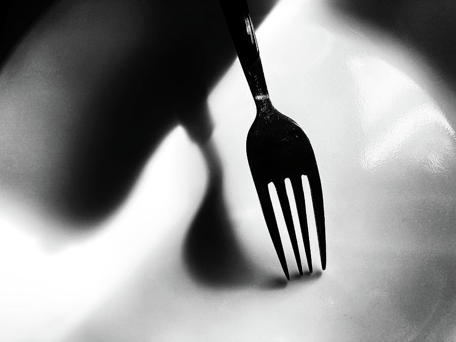 Fork and Shadow 2 041422 Photograph by Mary Bedy