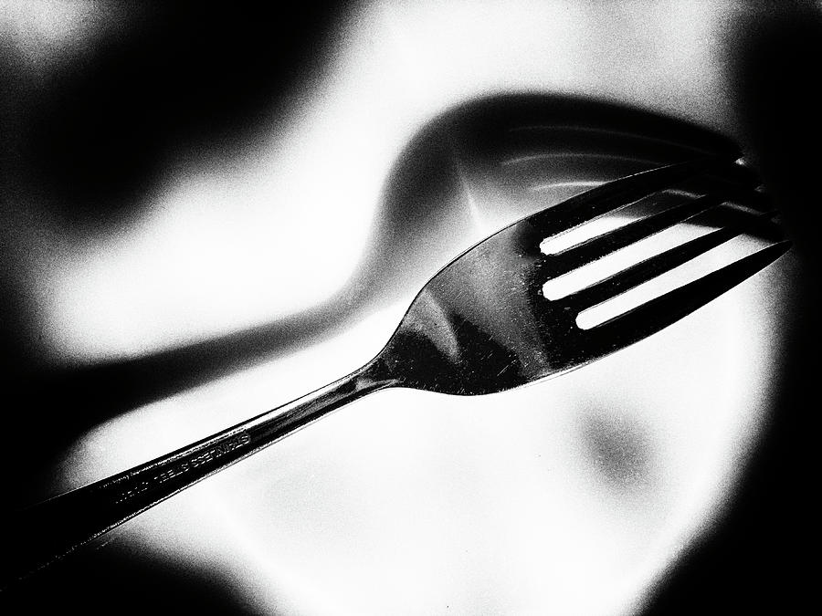 Fork and Shadow 6 072522 Photograph by Mary Bedy