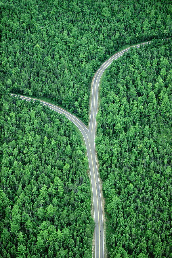 Fork in road through forest, aerial (Digital Composite) Photograph by David Madison