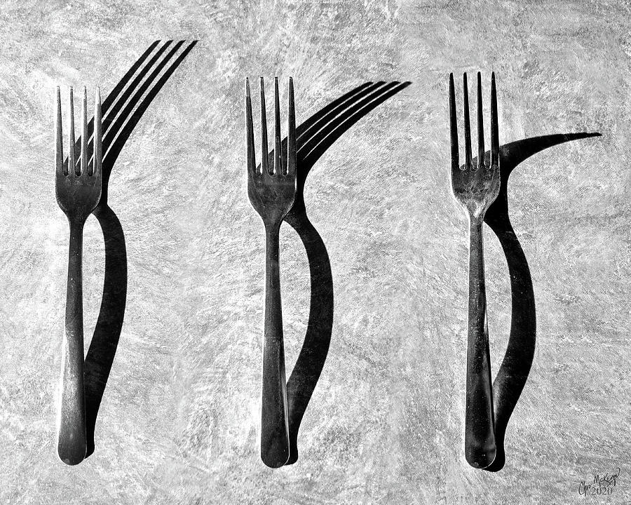 Fork Off Photograph by Christopher McKenzie