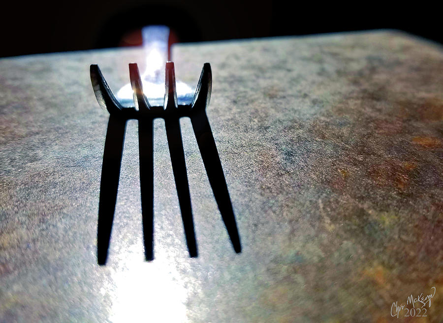 Fork-U Photograph by Christopher McKenzie