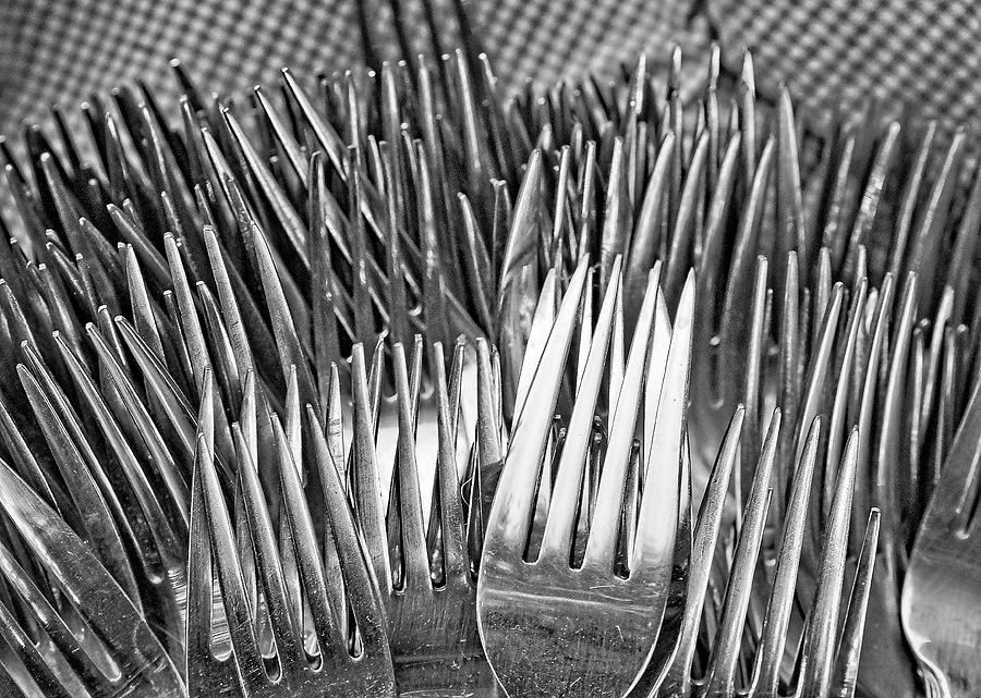 Forks Photograph by Steven Ralser