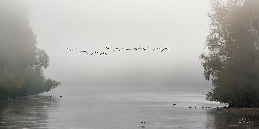 Formation In The Fog Over The Danube River Photograph by Steven Sparks