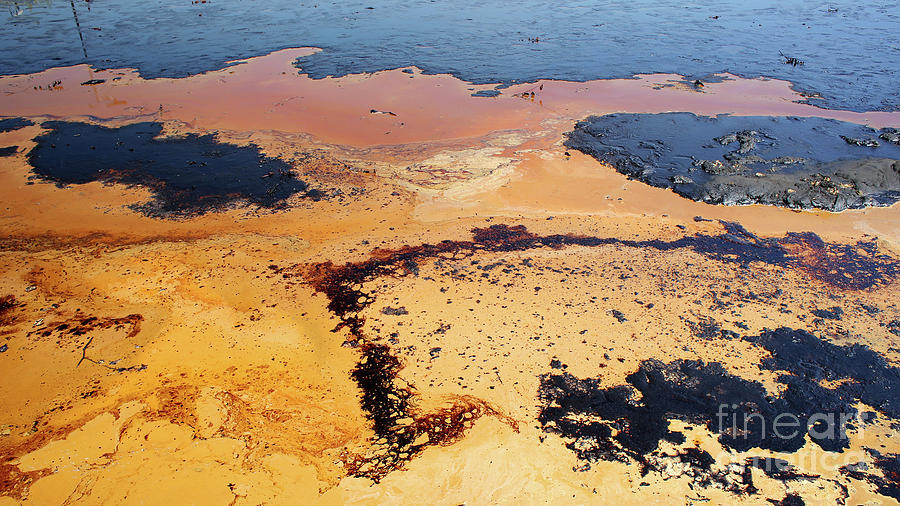 Former dump toxic waste, effects nature from contaminated soil and ...