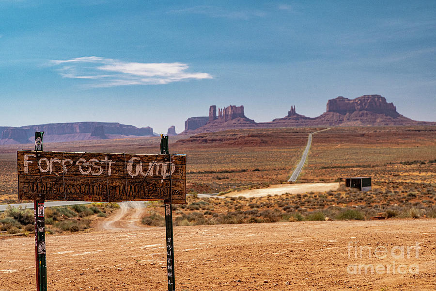 Forrest Gump Hill Monument Valley Utah Photograph by Wayne Moran