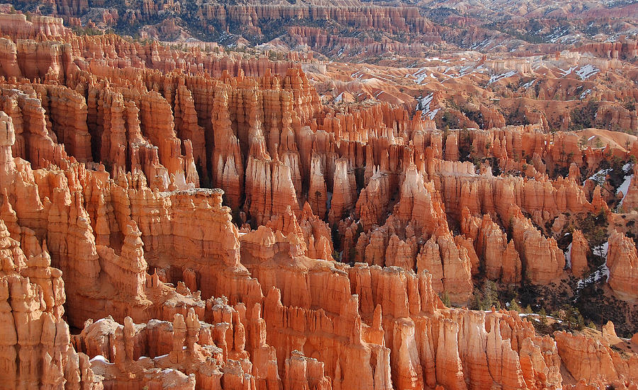 Forest of Stone -- Hoodoos in Bryce Amphitheater at Bryce Canyon National Park, California Photograph by Darin Volpe