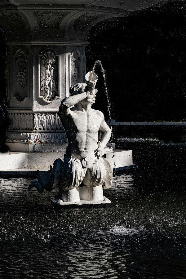 Forsyth Fountain Photograph by Tom Singleton