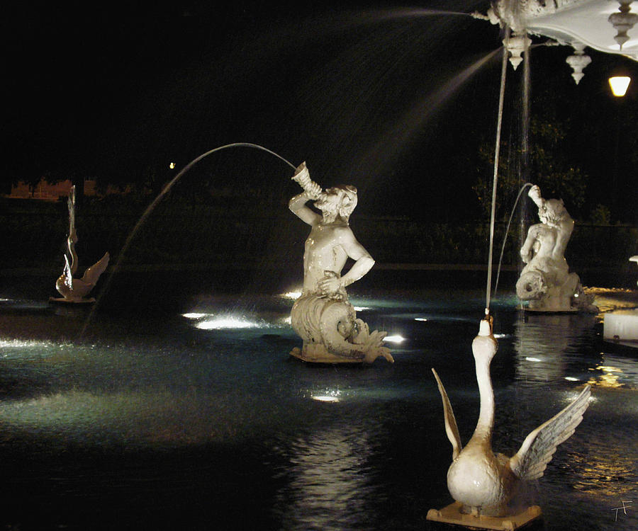 Forsyth Mermaids and Swans Photograph by Theresa Fairchild