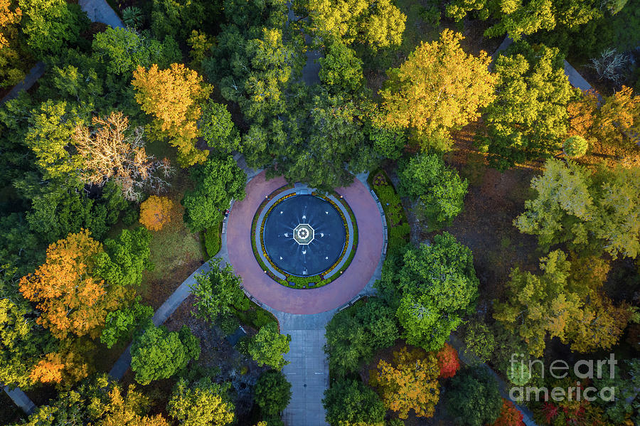 Forsyth Park from Above Photograph by Inge Johnsson