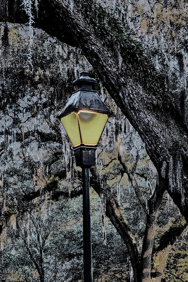 Forsyth Park Lamp Photograph by Tom Singleton