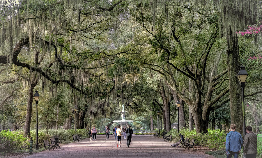 Forsythe Park, Savannah Photograph by Marcy Wielfaert