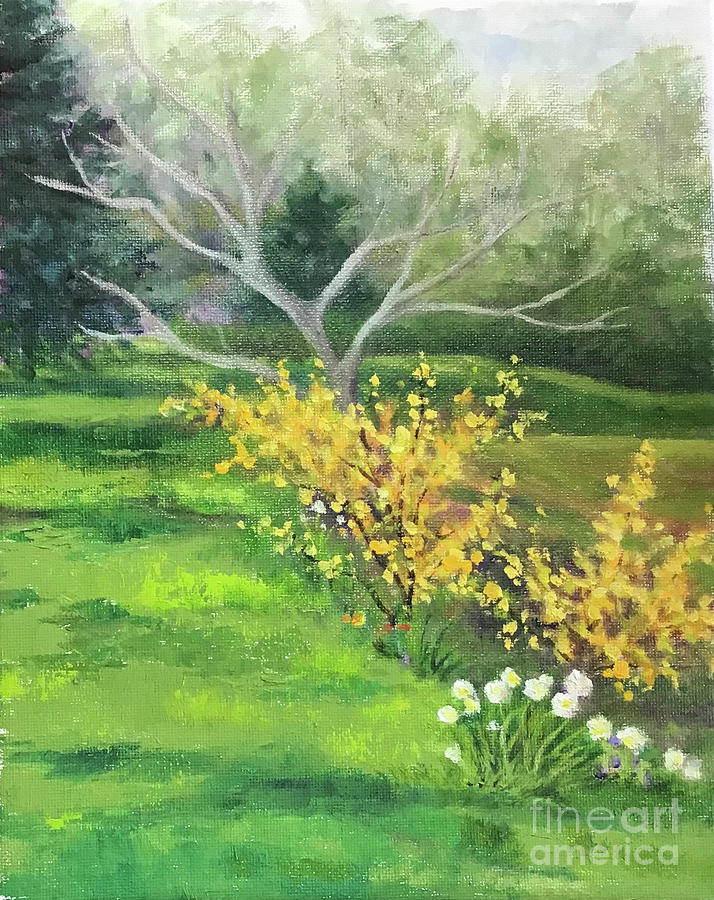 Forsythia Painting by Anne Marie Brown