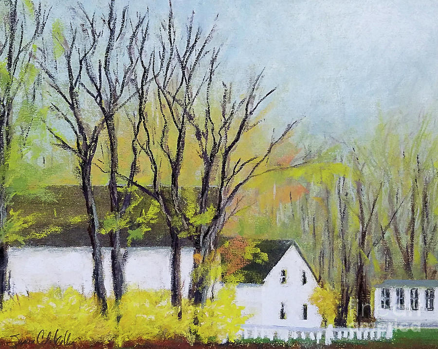 Forsythia Farm Painting by Susan Cole Kelly Impressions
