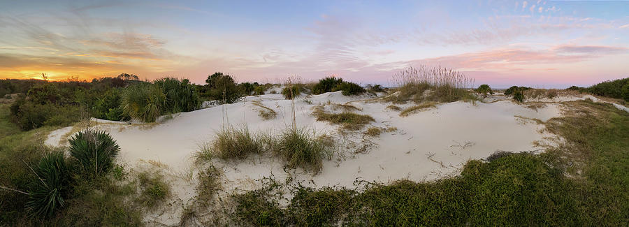 Fort Clinch Dunes, Amelia Island, Florida Photograph by Dawna Moore Photography